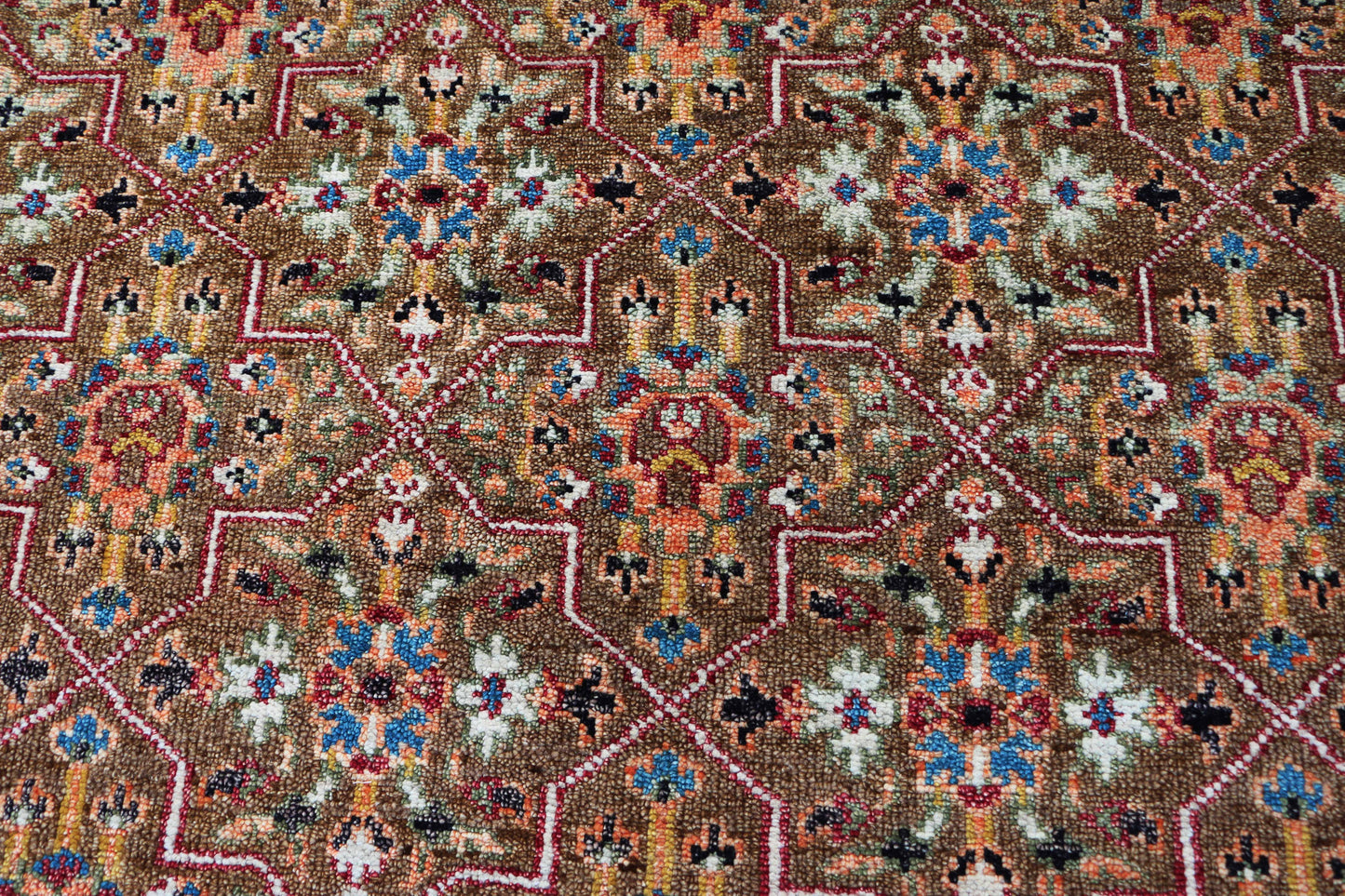 Hand-Knotted Woolen Area Rug 4829.2 (9x12)