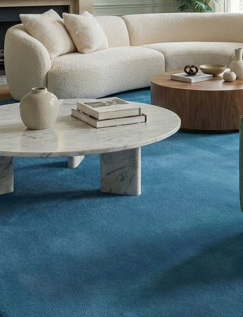 Rugowl Modern Ocean Blue Plain Area Rug