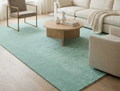 Rugowl Powder Blue Plain Area Rug